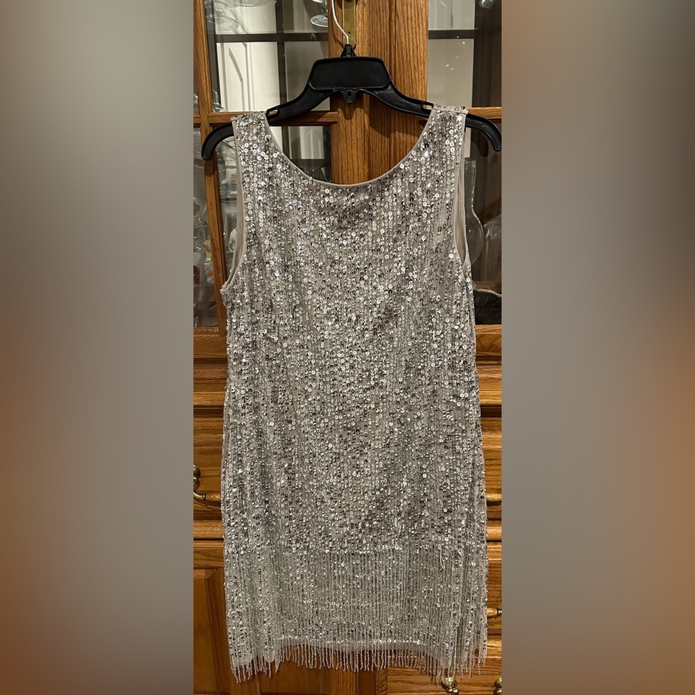 Adrianna Papell Sequin Dress